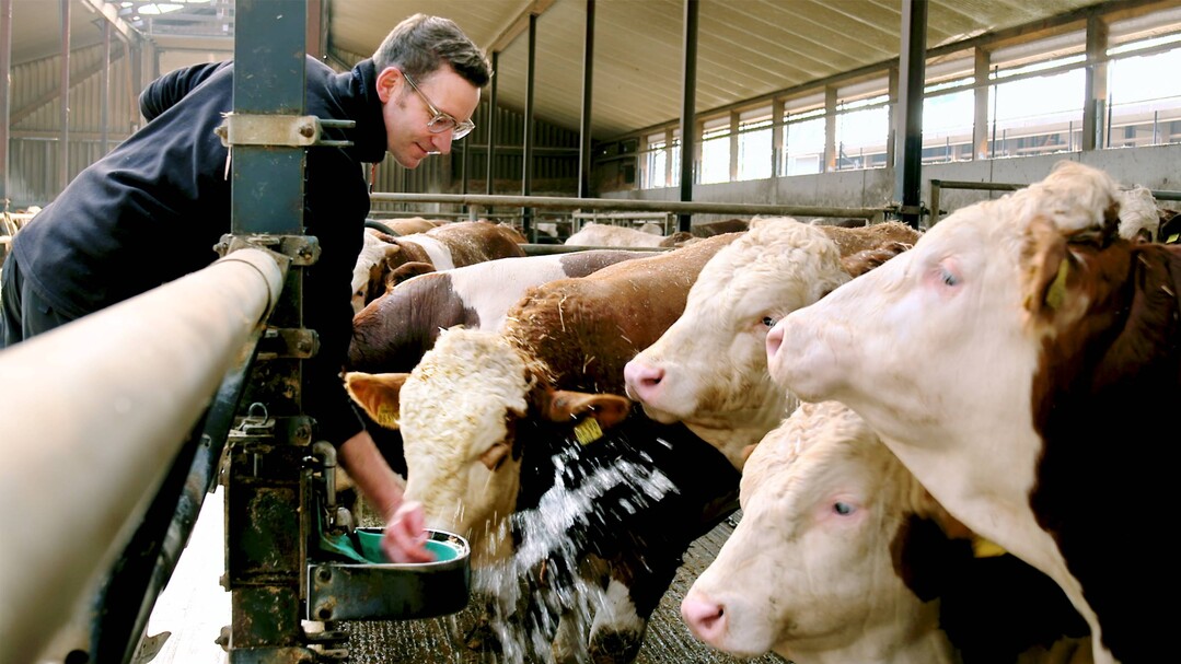 In der Kategorie „Rindermast“ ging der Sieg an Felix Pahlsmeier und seinen Betrieb in Delbrück, Nordrhein-Westfalen.