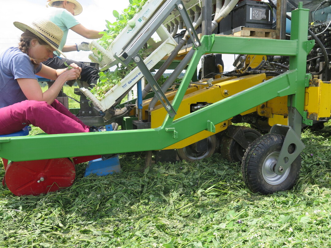 Murocut-Schneidemesser und Pflanzaggregate