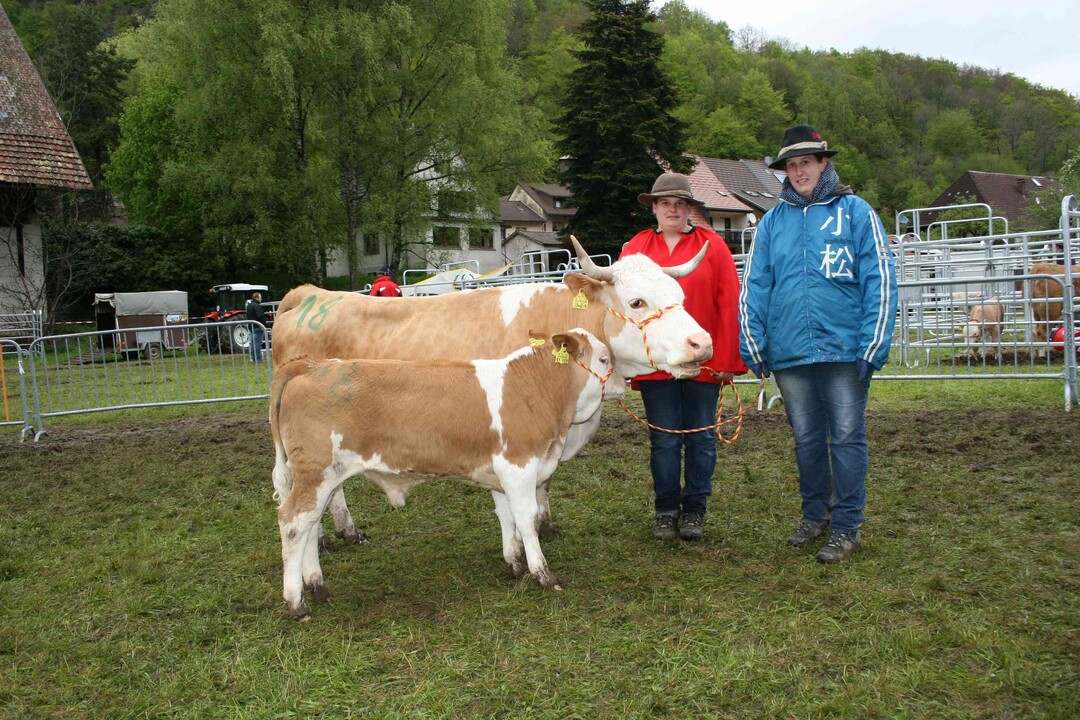 Zweitplatziert war das Gespann Gini und ihr Silharnibullenkalb, das Anton Kalt aus Albbruck- Birkingen präsentierte. Mit 75 Tagen wog es 123 kg, was sehr guten täglichen Zunahmen von 1.333g entspricht. Auch dieses Kalb erhielt die Note 8 in der Bemuskelung.