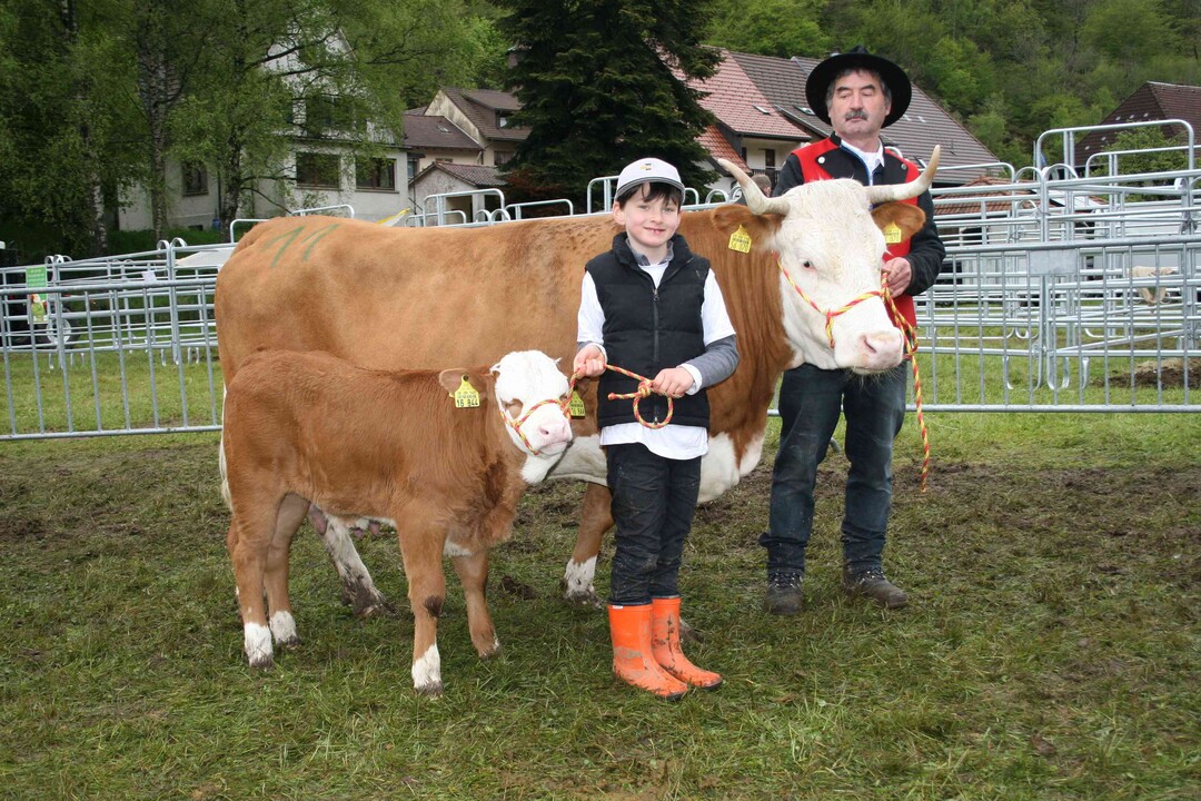Mutterkuh BKSi: Bei den Mutterkühen mit Bullenkälbern siegte Andreas Preiser aus Lenzkirch mit der Agafocktochter Agathe. Sie hatte ein quelliges 41 Tage altes Nafradosbullenkalb mit 84 kg Gewicht und 1.439 g tägliche Zunahmen bei Fuß, das mit 8 in der Bemuskelung benotet werden konnte. Agathe hat bereits zehnmal abgekalbt und wurde auch Siegerin in der Kategorie langlebigste Mutterkuh.