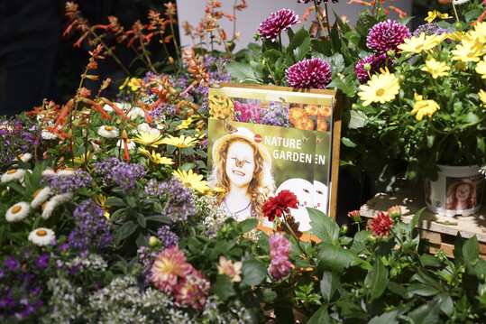 Selectas Konzept Nature Garden bietet eine bunte Pflanzenauswahl, die Insekten anzieht. Besonders beliebt bei den nützlichen Blütengästen sind unter anderem Selectas Dahliensorten Dalaya Meena Krishna, Bali und Shari, Lavendel Les Bleus Antoine und Les Bleus Thierry, Echinacea Meditation White und Bidens Eldoro® Yellow. Die Sortenempfehlungen basieren auf den durchgeführten Tests in Kooperation mit der LVG Heidelberg, der Gärtnerei Staudenrausch und dem Bienenkundeinstitut der Uni Hohenheim. Passendes POS Material unterstützt dieses Konzept. Selectas Sortiment bietet auch nachhaltige Pflanzen, die besonders gut für lange Hitzeperioden geeignet sind und wenig Wasser benötigen: so z.B. wasserspeichernde Delosperma und Portulaca, robuste Sedum, Pelargonien und Phlox oder Dank ihrem silbrigen Laub ideal an Hitze angepasste Helichrysum.