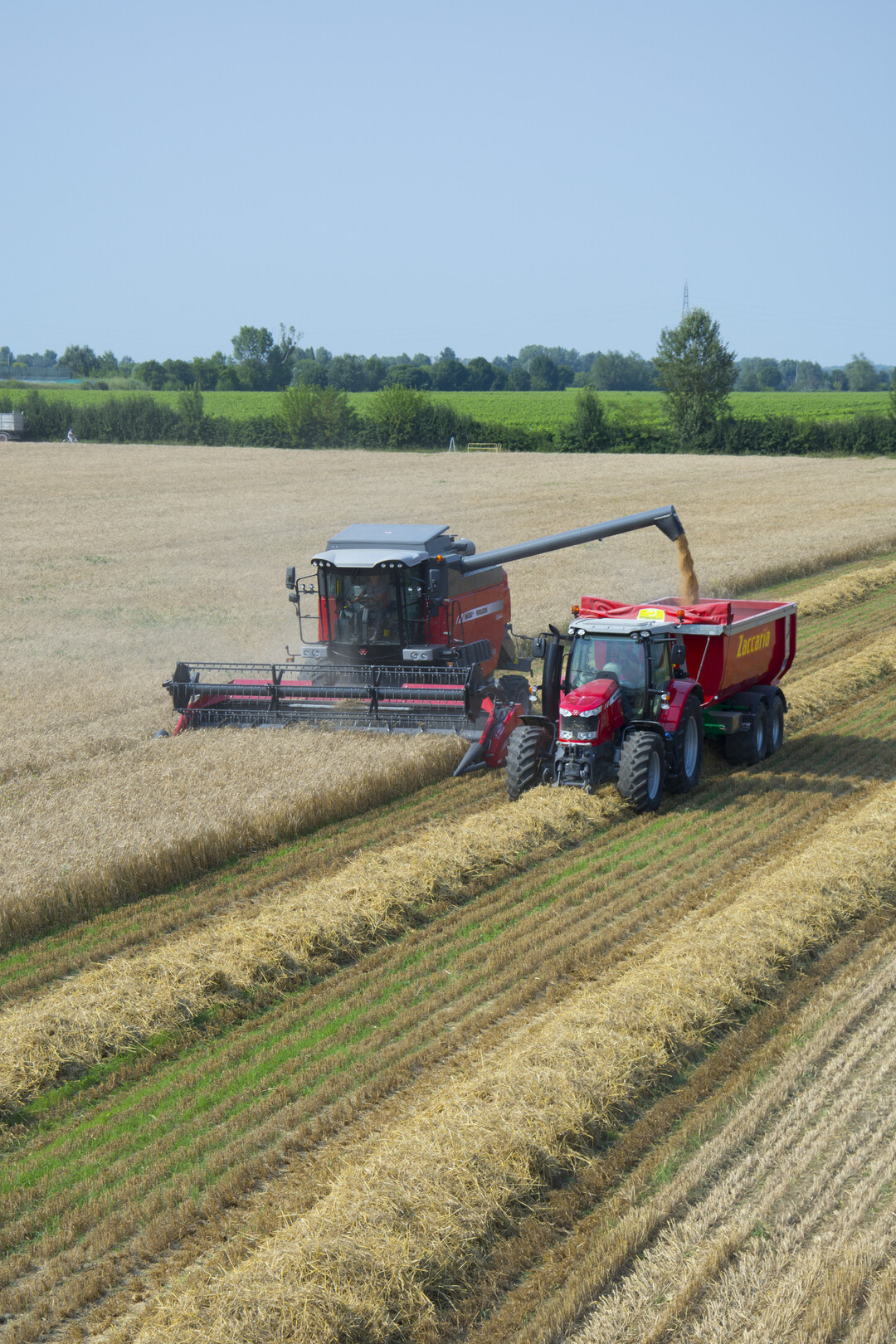 Der neue "Einsteiger"-Mähdrescher von MF.