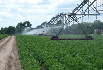 Beregnung von Kartoffeln in Brandenburg.