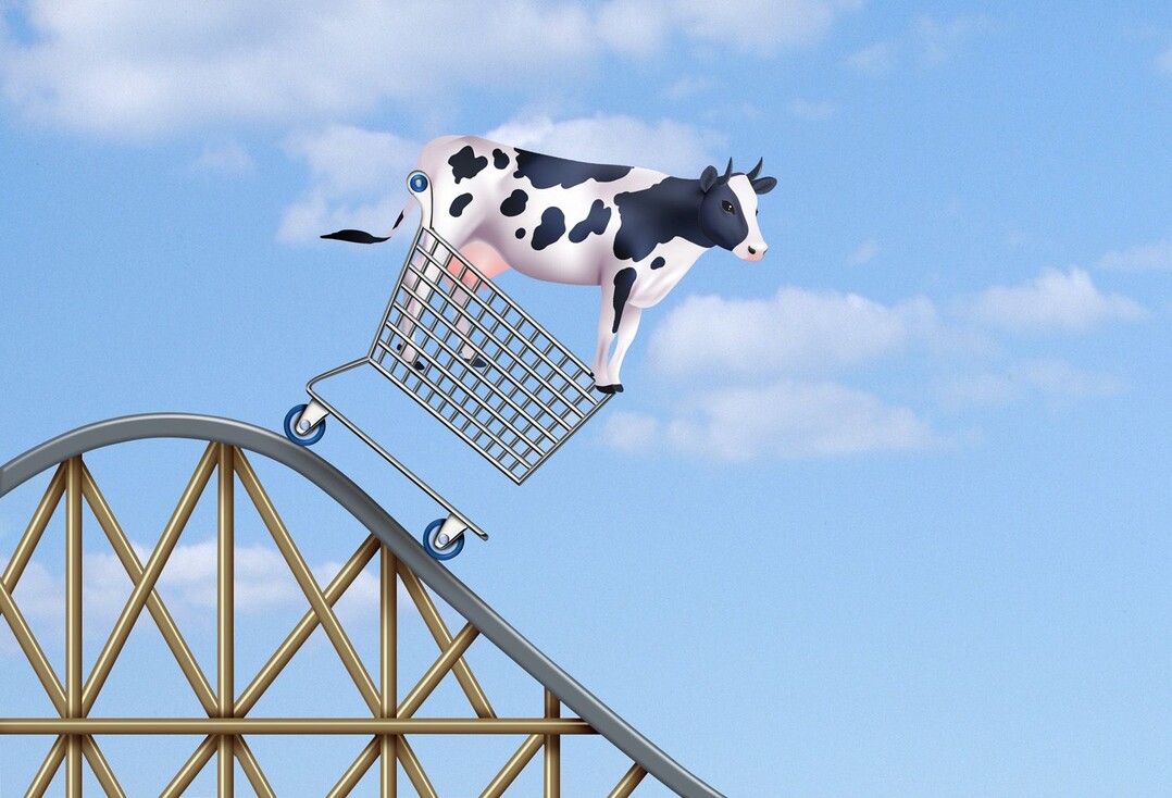 Die Preise f�r Milch fahren Achterbahn Die Preise f�r Milch fahren Achterbahn