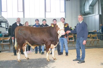 Der Vorderwälder-Besamungsbulle Igguss überzeugt mit einer exterieurstarken Nachzucht.