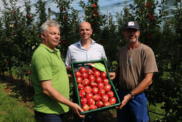 Freuen sich �ber die erste SweeTango-Ernte (v. l.): Bernd Schmid (MaBo), Johannes v. Eerde (GF OvB Vertriebsgesellschaft) und Hubert Langenstein (MaBo). 