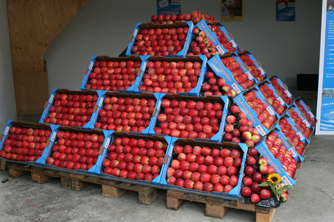 Der bisherige Markenauftritt von Obst vom Bodensee soll im Herbst durch einen neuen abgel�st werden. 