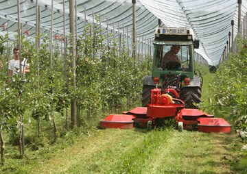 Beim Tag der offenen T�r am KOB-Modellbetrieb f�r �ko-Obstbau wurde auch ein neuartiges Mulchger�te gezeigt, das einen Bl�hstreifen in der Mitte der Fahrgasse stehen l�sst. 