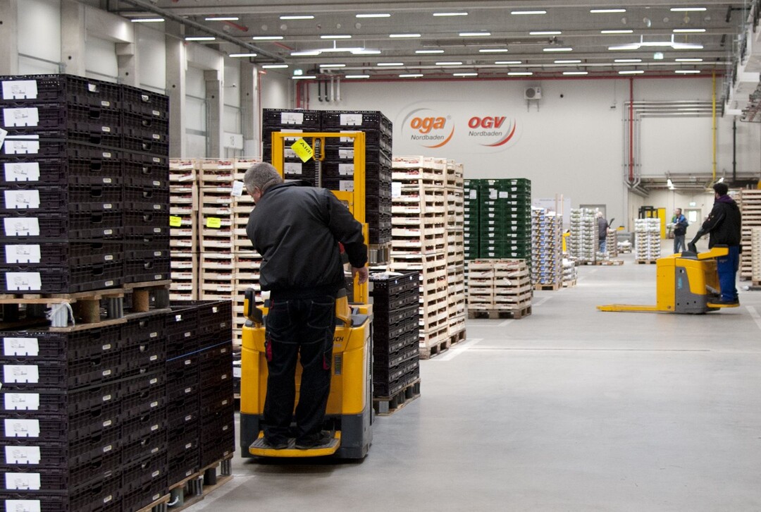 Rund 150 Besch�ftigte arbeiten w�hrend der Saison im Neubau der OGA / OGV Nordbaden e. G. in Bruchsal. Von hier aus wird das Bundesgebiet und angrenzende Ausland mit frischem Obst und Gem�se beliefert.