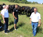 Ein weiteres Standbein des Betriebs ist die Lohnaufzucht von Wagyu-Ochsen für eine in Thüringen ansässige Firma. Geschlachtet werden die Tiere bei Fairfleisch in Überlingen.