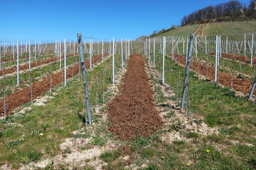 Vor der Aufbringung organischer D�nger m�ssen deren N�hrstoffgehalte bekannt sein und dokumentiert werden. Vor allem in Junganlagen kommen schnell zu hohe N�hrstoffmengen zusammen.