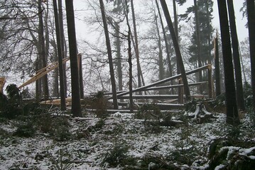 Zur Bew�ltigung der durch Extremwetterereignisse verursachten Folgen im Wald k�nnen kleine Waldbesitzer (unter 20 Hektar Waldbesitz) h�here F�rders�tze von bis zu 90 Prozent der nachgewiesenen Ausgaben erhalten.