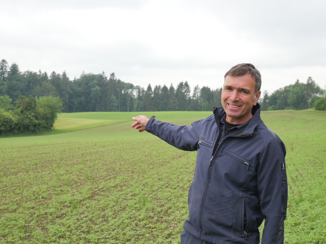 Hanf ist eine robuste Kultur, die Landwirt Gereon G�ldenberg sichtlich Freude bereitet.    