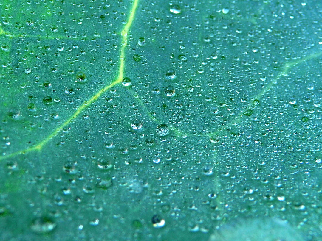 Biolandwirtschaft kann gut f�r das Klima sein.&nbsp;