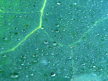 Biolandwirtschaft kann gut f�r das Klima sein.&nbsp;