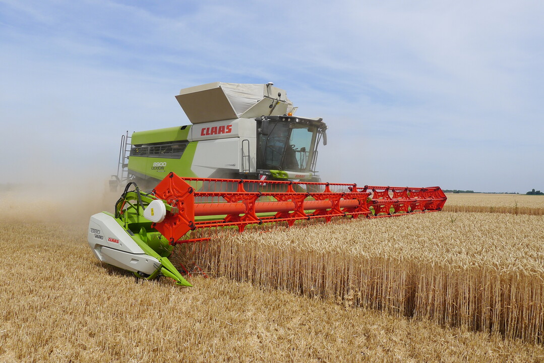 Mit neuem Dreschwerk und Korntankvolumina zwischen 9000 und 13.500 Litern sind die neuen Lexion 6000 und 5000 für alle Einsätze bereit. Im Bild arbeitet der Lexion 6900.