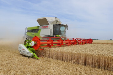 Mit neuem Dreschwerk und Korntankvolumina zwischen 9000 und 13.500 Litern sind die neuen Lexion 6000 und 5000 f�r alle Eins�tze bereit. Im Bild arbeitet der Lexion 6900.