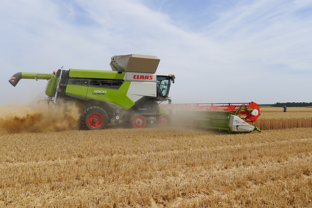 Der neue Lexion 8900 ist laut Claas der weltweit leistungsfähigste Mähdrescher. Ein 790 PS-Motor und optimierte Antriebe, ein neues Dreschwerk mit erhöhter Drusch- und Abscheideleistung, bis 18.000 l Korntankvolumen, das sich mit 180 l/s an das Abfuhrfahrzeug abtanken lässt, und jede Menge funktional erweiterte Assistenzsysteme legen dafür den Grundstein. Rund 50 Prozent der Stückzahlen macht Claas in Segment der Hochleistungsdrescher.