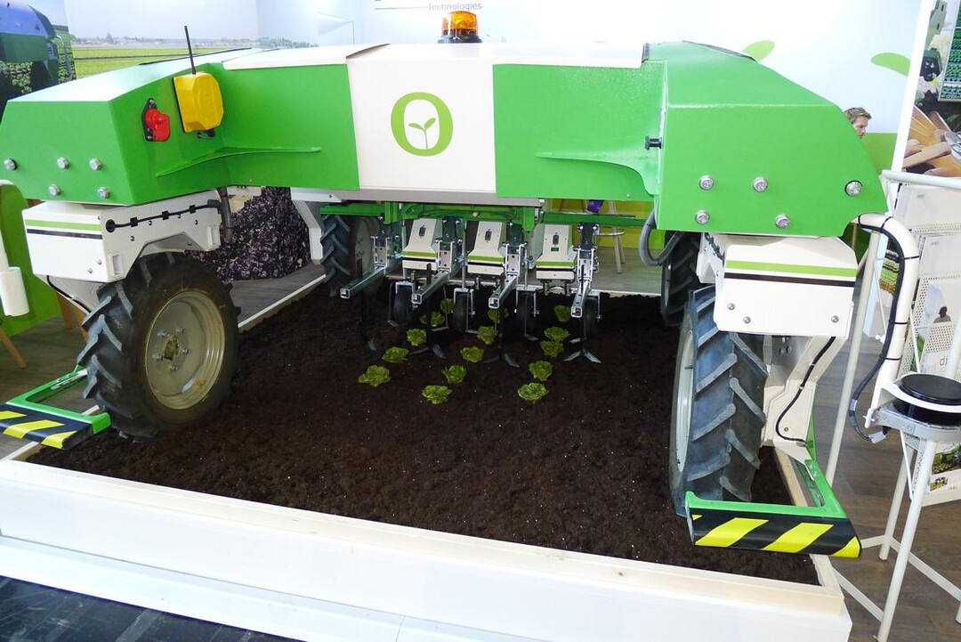 Der Roboter Dino in Kombination mit dem Pr�zisions-Unkrautbek�mpfungsger�t ist das erste autonome Ger�t, das zur mechanischen Unkrautbek�mpfung in den Salatreihen eingesetzt werden kann.