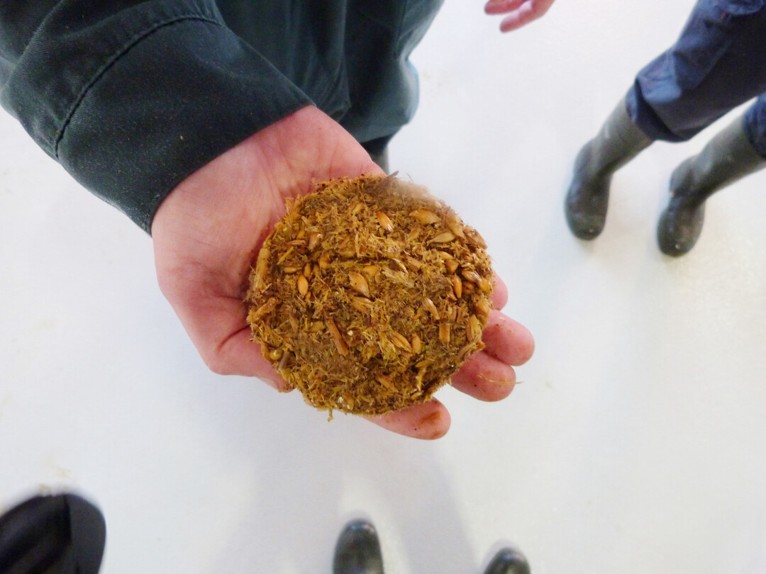 Idealerweise hat der Kotpresskuchen bei Stallf�tterung eine H�he von rund 20 mm, bei Weidef�tterung 12 bis 13 mm.