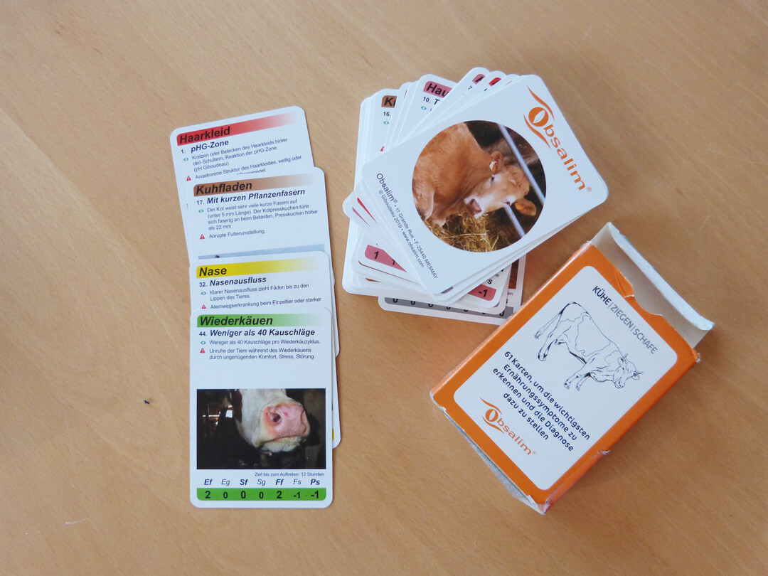 61 Karten in Spielkartengr��e bilden die Obsalim-Symptome ab.