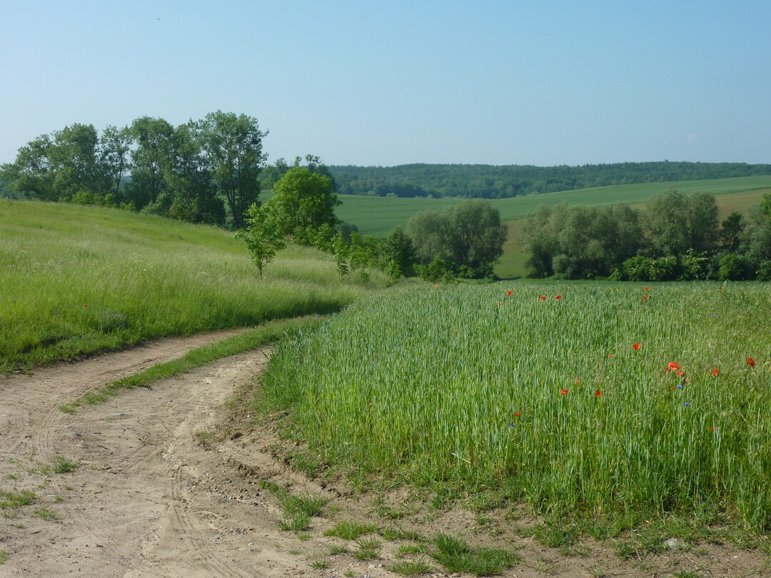 F�r den Start des �koNetzBW werden&nbsp;30 Betriebe aus ganz Baden-W�rttemberg gesucht, die seit mindestens 5 Jahren �kologisch wirtschaften.
