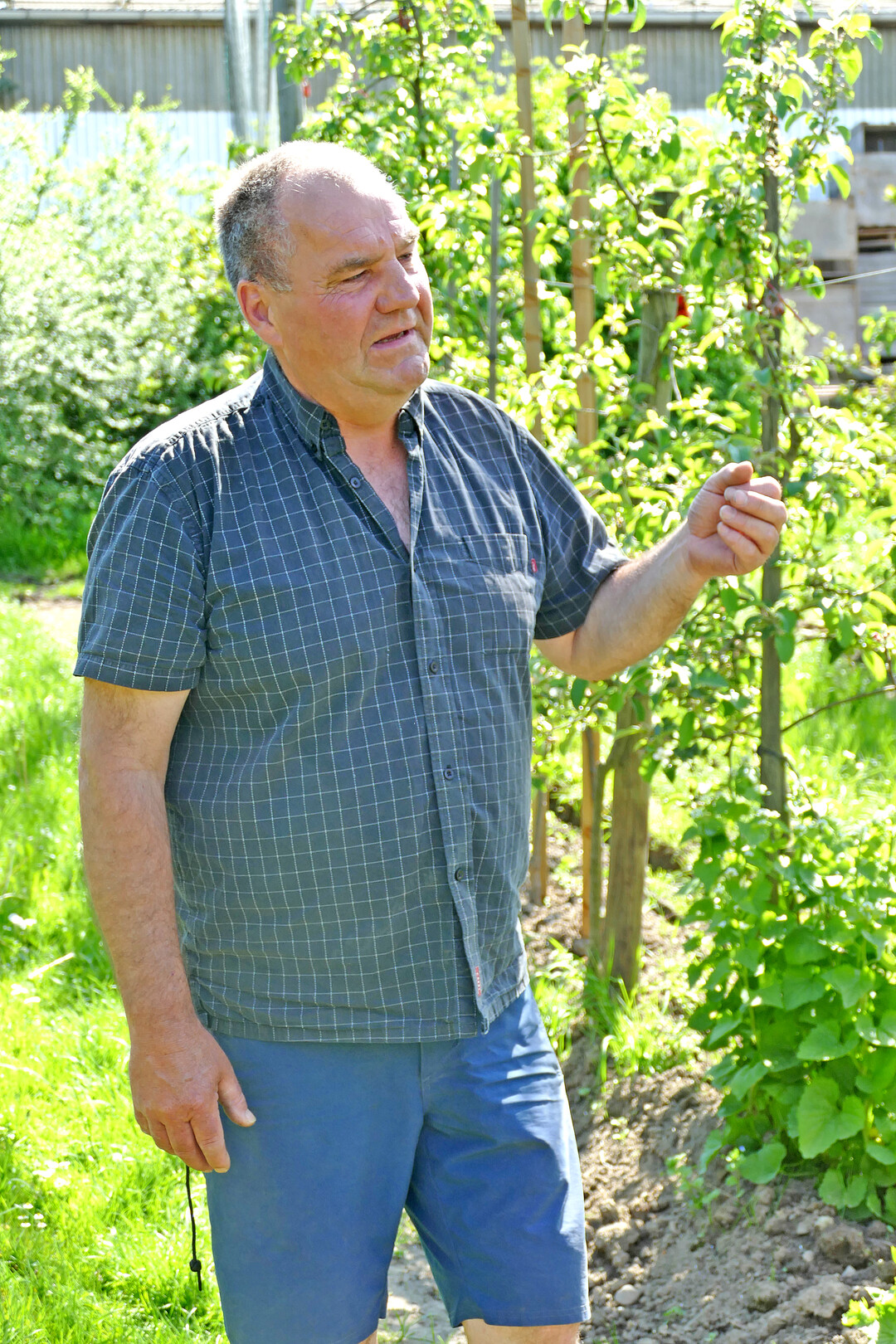 Clemens Hund baut als erster Betrieb in Deutschland biozyklisch vegan-zertifiziert Obst an.