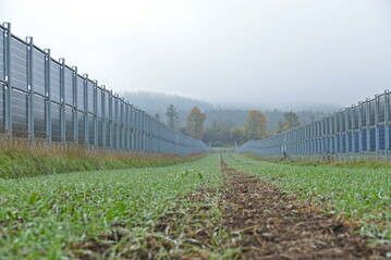 Agrifotovoltaik (APV) kann negative Effekte des Klimawandels auf dem Anbau abschw�chen.