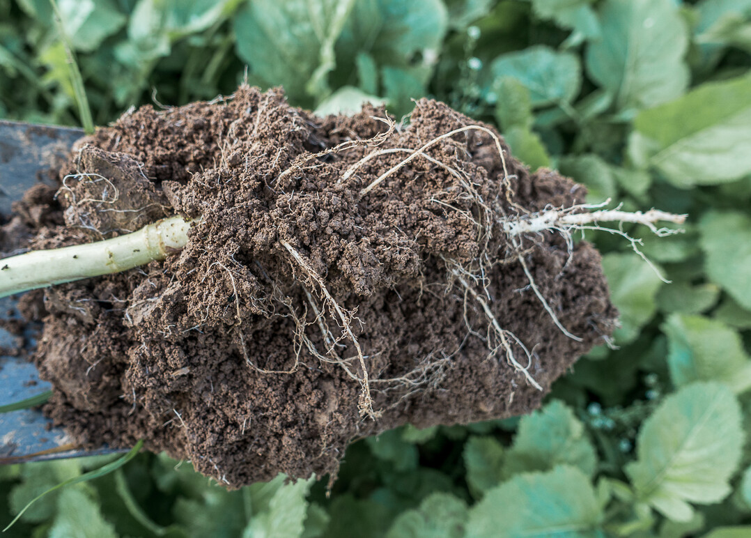 Eine hohe Kr�melstabilit�t ist wichtig, um Schadverdichtungen und Erosion zu vermeiden.