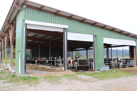 Offene Ställe sorgen für passive Lüftung.