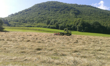 Bei der Heuwerbung ist auf eine schonende Bearbeitung zu achten, um Br�ckelverluste zu minimieren.