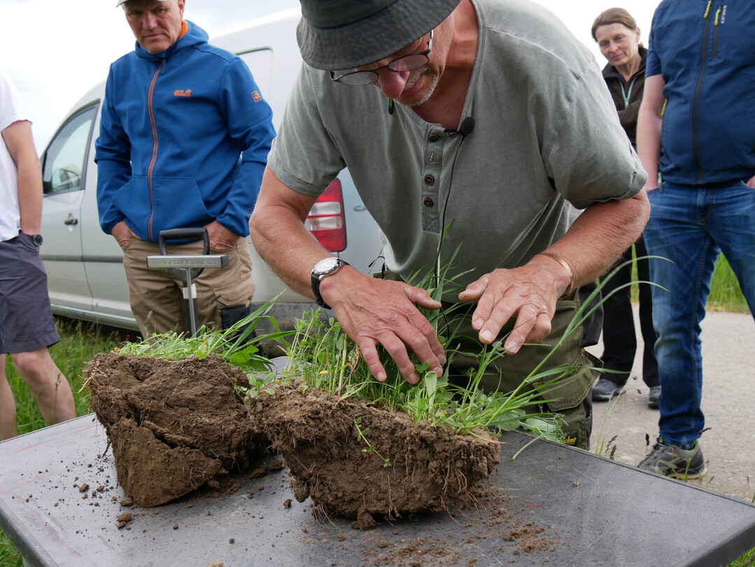N�ser erkl�rt, wie das Bodenleben die Pflanze versorgt.