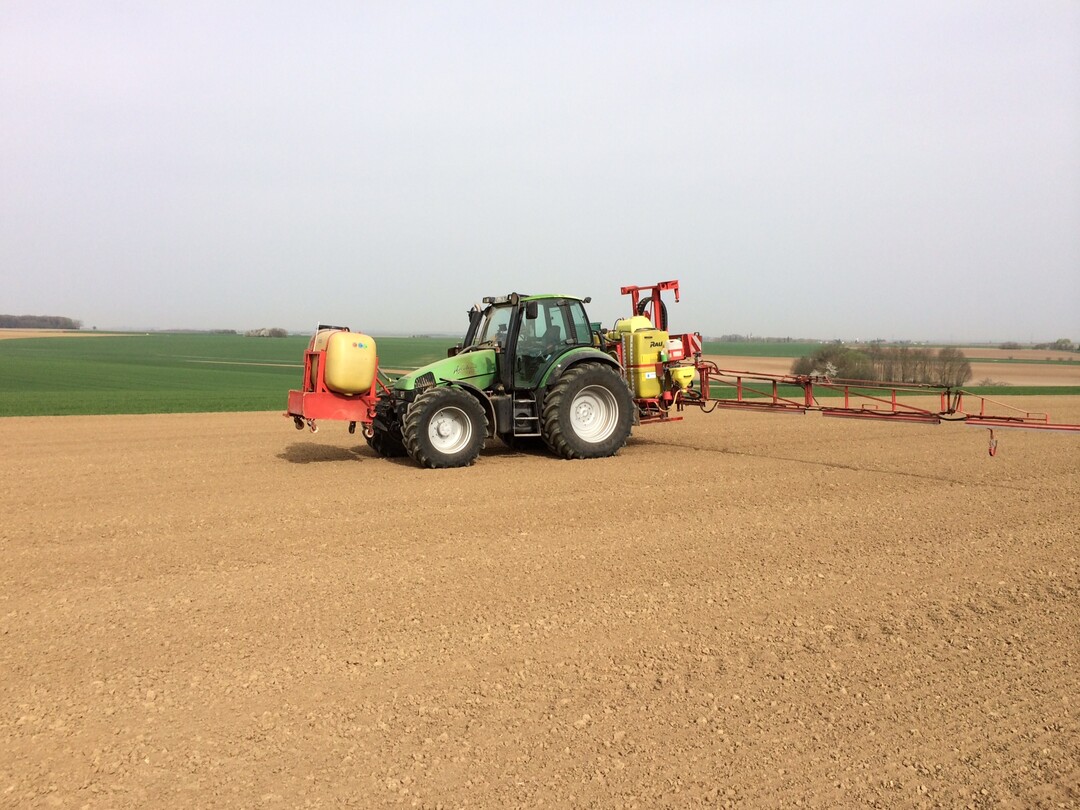 Herbizide bei Soja werden in der Regel im Vorauflauf ausgebracht