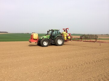 Herbizide bei Soja werden in der Regel im Vorauflauf ausgebracht