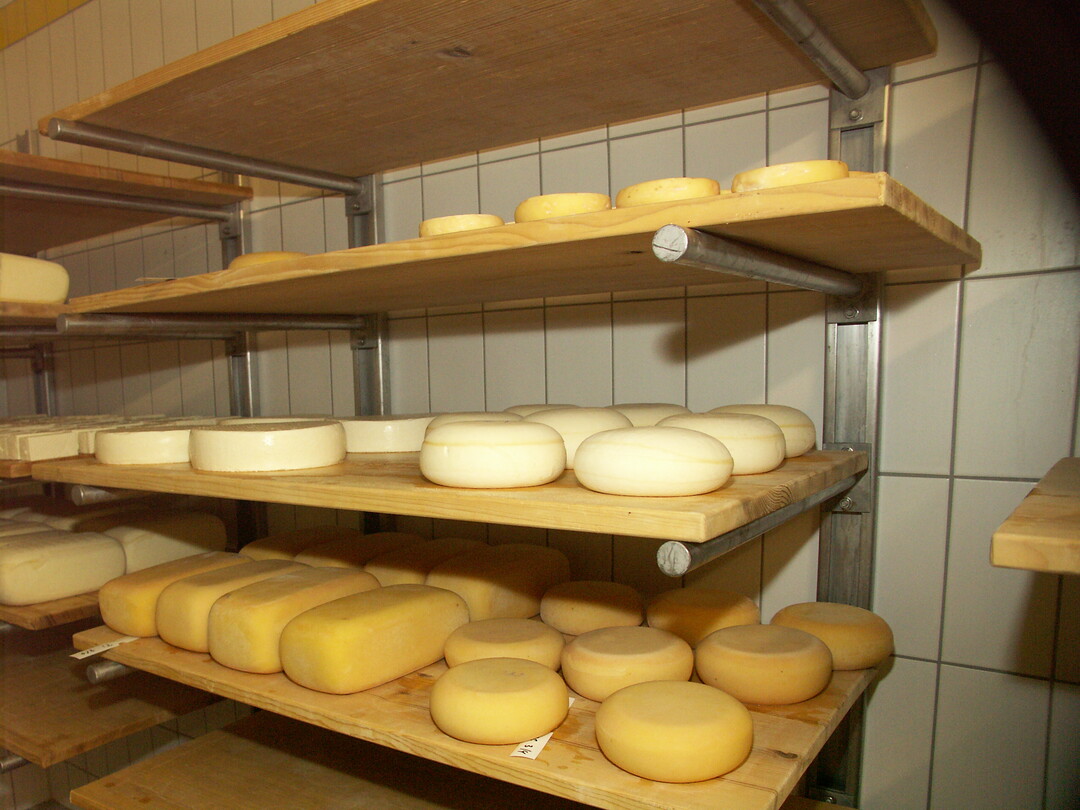 Käse wird haltbar