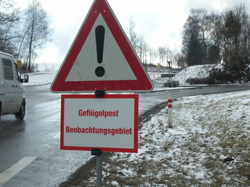 Nach den F�llen von Vogelgrippe am Bodensee wurde ein Ma�nahmenplan beschlossen.