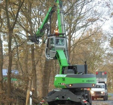 Baumpflege an Stra�enr�ndern in der greenGain Pilotregion Friesland.