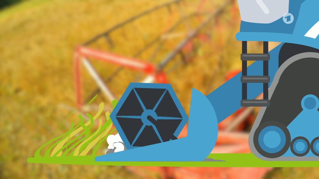 Zweiter TV-Irrtum: Animation zeigt Mähdrescher statt Kreiselmäher; im Hintergrund Getreideernte.