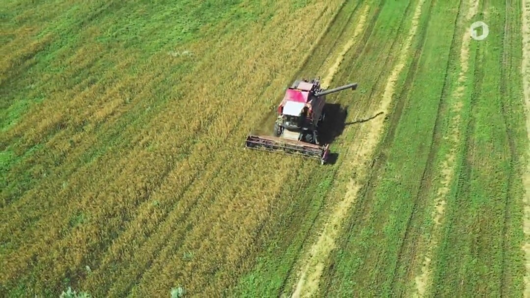 Erster TV-Irrtum: Mähdrescher wird als Kreiselmäher gezeigt.