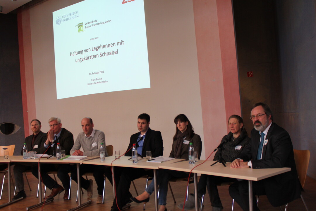 Posiumsdiskussion zum Abschluss des Projekts "Haltung unkupierter Hennen Baden-W�rttemberg" mit Daniel K�mmerling/Hochschule Osanbr�ck, Dr. Bernhard Habe/Verbeek, Legehennenhalter Georg Heitlinger, Ren� Roux/Landratsamt Karlsruhe, Dr. Christine R�ckert/MLR, Dr. Christina Popp/Gefl�gelgesundheitsdienst Baden-W�rttemberg und Robert Pottg�ter/Lohmann Tierzucht (v.l.)