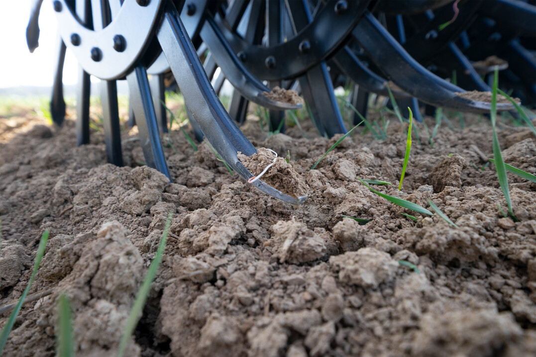 Eine kulturschonende, reihenunabhängige Arbeitsweise sowie maximale Flächenleistung bei geringem Verschleiß sollen die neue Rollhacke von Pöttinger auszeichnen.