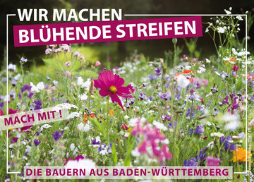 Auf einer Fläche von 22.000 Fußballfeldern säen Bauern Blühmischungen als Insektenfutter aus und bieten seit diesem Jahr Blühpatenschaften für Jedermann an, um die Blühflächen noch auszuweiten.