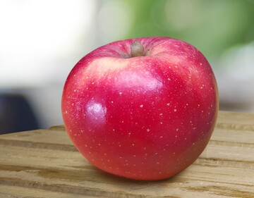 �HOT84A1� ist ein rotschaliger, knackiger und saftig-s��er Apfel, der nach Angaben von T & G Global tolerant gegen�ber hohen Temperaturen und starker Sonneneinstrahlung sein soll. 