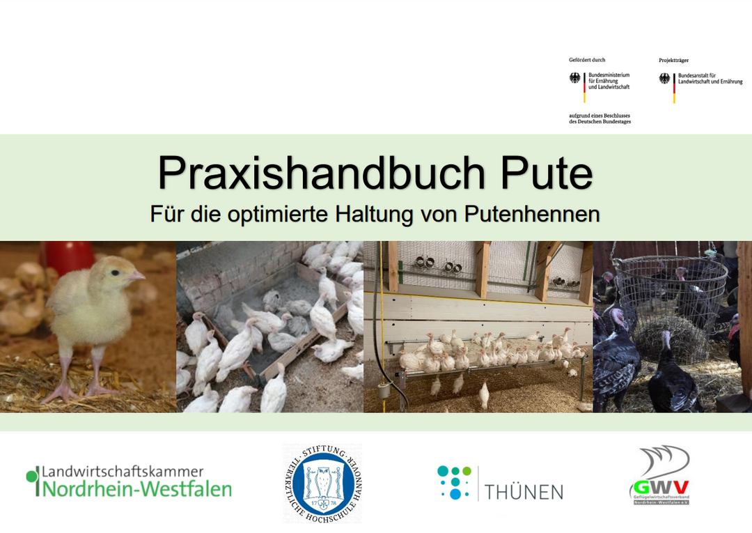 F�r die optimierte Haltung von Putenhennen: Das Praxishandbuch Pute ist jetzt erschienen.