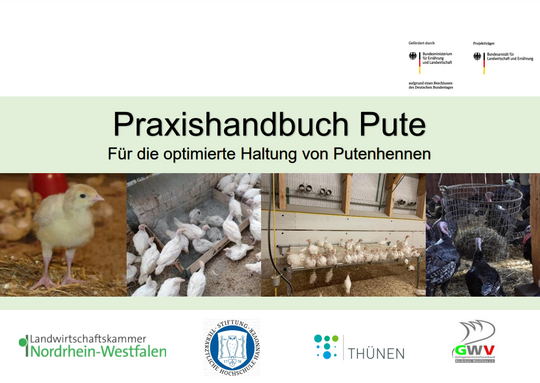 F�r die optimierte Haltung von Putenhennen: Das Praxishandbuch Pute ist jetzt erschienen.