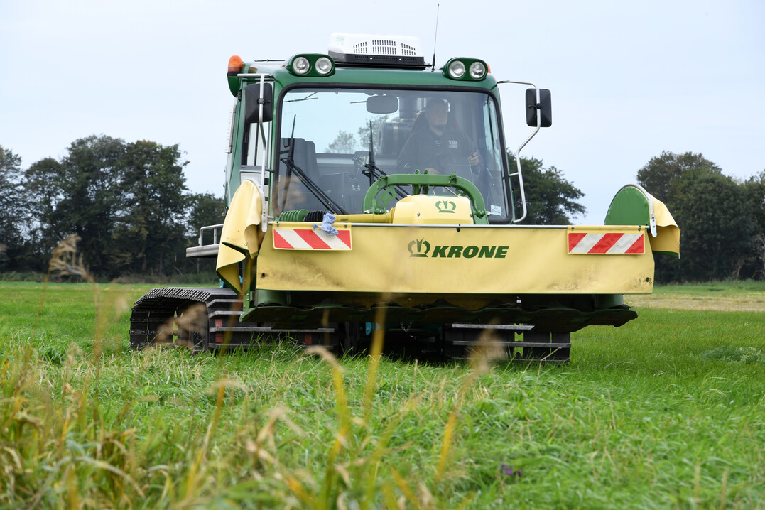 Mit F�rderung des Landes �investierten Petris in eine eigens umgebaute Moorraupe, mit der die B�den schonender befahren und beerntet werden k�nnen.