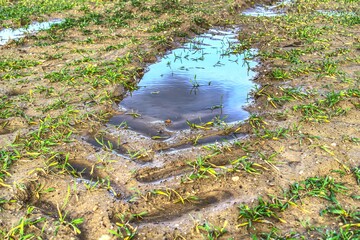 So sollte es nicht aussehen: Hier staut sich Wasser nach einer Überfahrt auf nassem Boden.