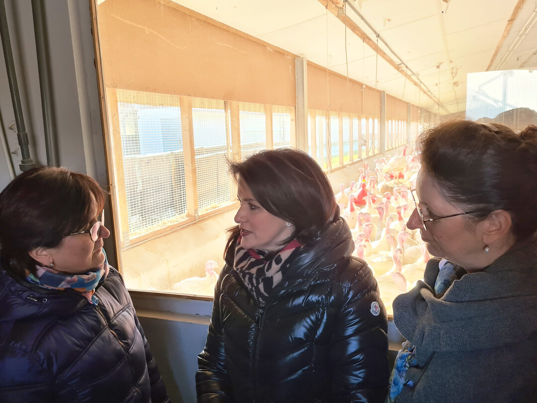 Staatsministerin Michaela Kaniber (mitte) und Tierhaltungspr�sidentin Christine Singer (rechts) besuchten schw�bischen Putenbetrieb Asum.