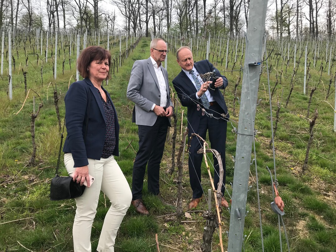 Beim Informationsaustausch am 16. und 17. April 2019 in Baden-Württemberg: Präsidenten Palle Borgström (links) und Joachim Rukwied vom Schwedischen Bauernverband (LRF) und Deutschen Bauernverband (DBV)