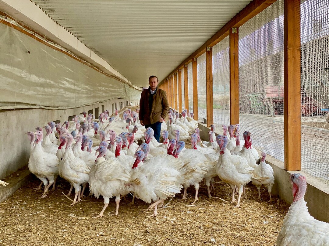   Landwirt Eben von Racknitz betreibt Putenmast mit Tierwohl-Standard und hat eine klare Haltung zu �kologischer und konventioneller Landwirtschaft.&nbsp;